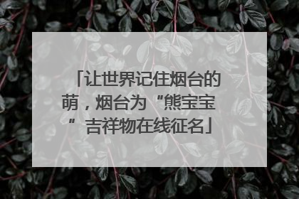 让世界记住烟台的萌，烟台为“熊宝宝”吉祥物在线征名