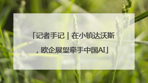 记者手记｜在小镇达沃斯，欧企展望牵手中国AI