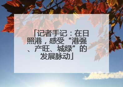 记者手记：在日照港，感受“港强、产旺、城绿”的发展脉动