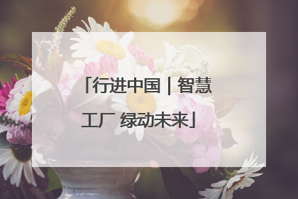 行进中国｜智慧工厂 绿动未来