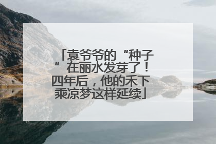 袁爷爷的“种子”在丽水发芽了！四年后，他的禾下乘凉梦这样延续