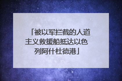 被以军拦截的人道主义救援船抵达以色列阿什杜德港