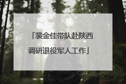裴金佳带队赴陕西调研退役军人工作