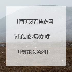 西班牙召集多国讨论加沙局势 呼吁制裁以色列