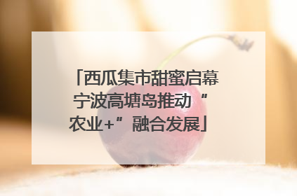 西瓜集市甜蜜启幕 宁波高塘岛推动“农业+”融合发展