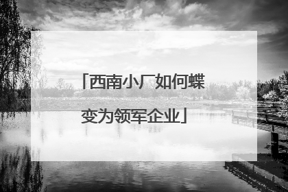 西南小厂如何蝶变为领军企业