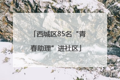 西城区85名“青春助理”进社区