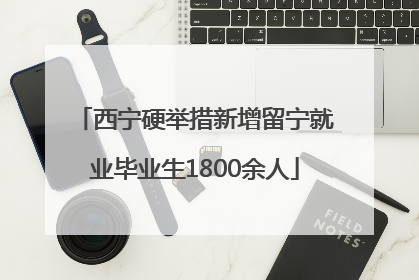 西宁硬举措新增留宁就业毕业生1800余人