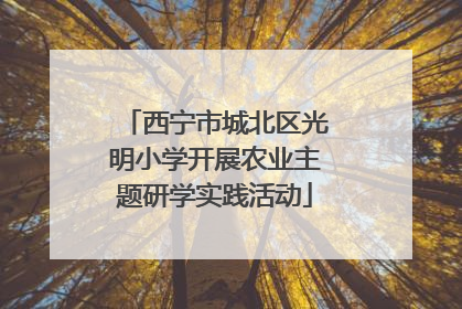 西宁市城北区光明小学开展农业主题研学实践活动