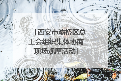 西安市灞桥区总工会组织集体协商现场观摩活动