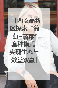 西安高新区探索“葡萄+蔬菜”套种模式 实现生态与效益双赢
