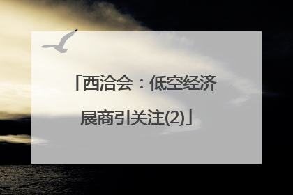 西洽会：低空经济展商引关注(2)