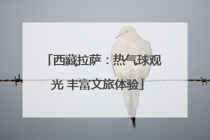 西藏拉萨：热气球观光 丰富文旅体验