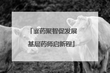 襄药聚智促发展 基层药师启新程