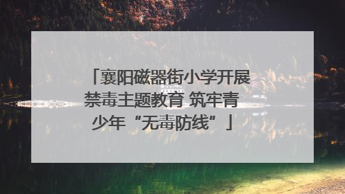 襄阳磁器街小学开展禁毒主题教育 筑牢青少年“无毒防线”