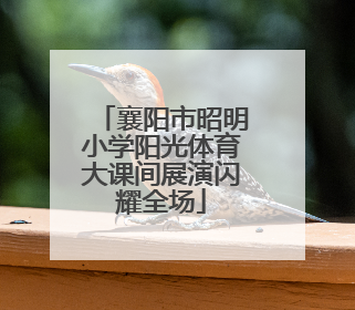 襄阳市昭明小学阳光体育大课间展演闪耀全场