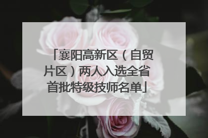 襄阳高新区（自贸片区）两人入选全省首批特级技师名单