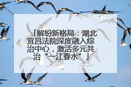 解纷新格局：湖北宜昌法院深度融入综治中心，激活多元共治“一江春水”