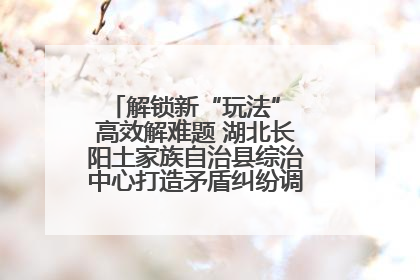 解锁新“玩法” 高效解难题 湖北长阳土家族自治县综治中心打造矛盾纠纷调处“终点站”