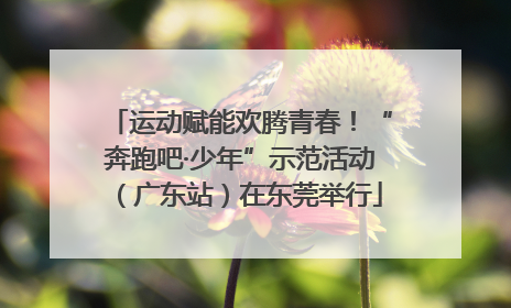 运动赋能欢腾青春！“奔跑吧·少年”示范活动（广东站）在东莞举行