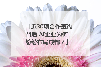 近30项合作签约背后 AI企业为何纷纷布局成都？