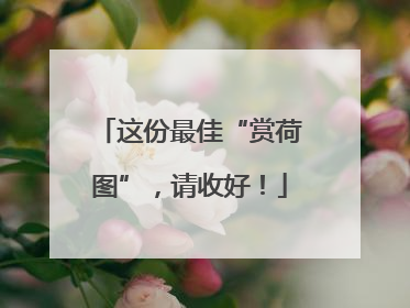 这份最佳“赏荷图”，请收好！
