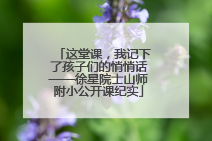 这堂课，我记下了孩子们的悄悄话——徐星院士山师附小公开课纪实