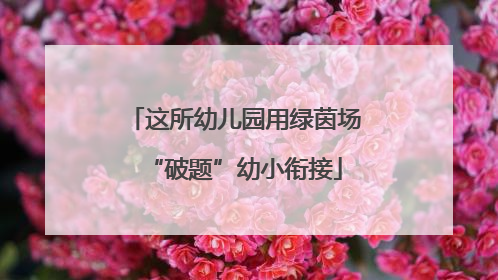 这所幼儿园用绿茵场“破题”幼小衔接