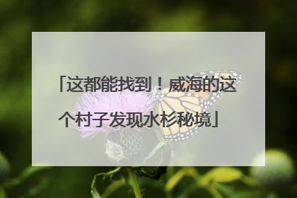 这都能找到！威海的这个村子发现水杉秘境
