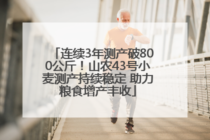 连续3年测产破800公斤！山农43号小麦测产持续稳定 助力粮食增产丰收