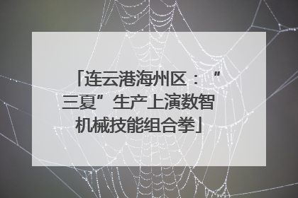 连云港海州区：“三夏”生产上演数智机械技能组合拳