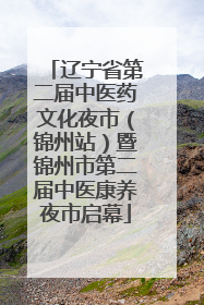 辽宁省第二届中医药文化夜市（锦州站）暨锦州市第二届中医康养夜市启幕