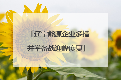 辽宁能源企业多措并举备战迎峰度夏