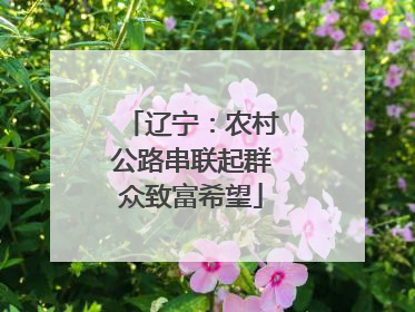 辽宁：农村公路串联起群众致富希望