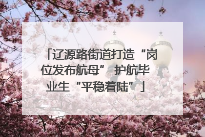 辽源路街道打造“岗位发布航母” 护航毕业生“平稳着陆”