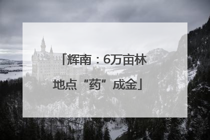 辉南：6万亩林地点“药”成金