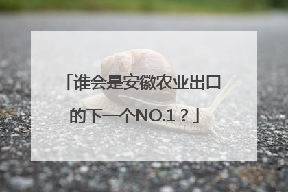 谁会是安徽农业出口的下一个NO.1？