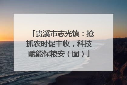 贵溪市志光镇：抢抓农时促丰收，科技赋能保粮安（图）