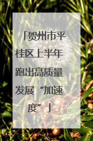 贺州市平桂区上半年跑出高质量发展“加速度”