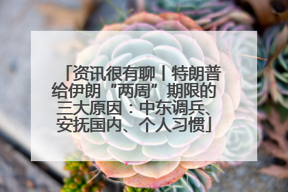 资讯很有聊丨特朗普给伊朗“两周”期限的三大原因：中东调兵、安抚国内、个人习惯