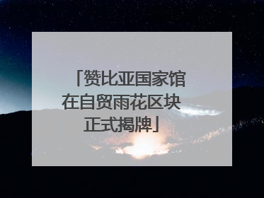 赞比亚国家馆在自贸雨花区块正式揭牌