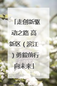 走创新驱动之路 高新区（滨江）勇毅前行向未来