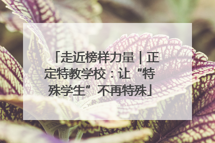 走近榜样力量｜正定特教学校：让“特殊学生”不再特殊