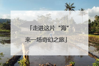 走进这片“海”来一场奇幻之旅