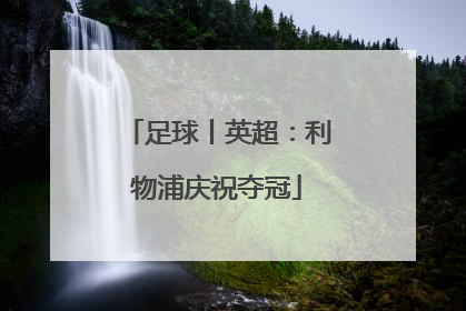 足球丨英超：利物浦庆祝夺冠