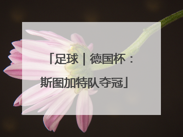 足球｜德国杯：斯图加特队夺冠