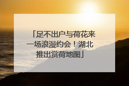 足不出户与荷花来一场浪漫约会！湖北推出赏荷地图
