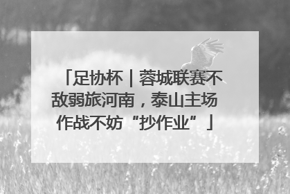 足协杯｜蓉城联赛不敌弱旅河南，泰山主场作战不妨“抄作业”