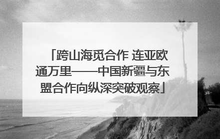 跨山海觅合作 连亚欧通万里——中国新疆与东盟合作向纵深突破观察