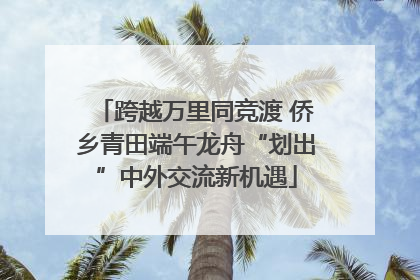 跨越万里同竞渡 侨乡青田端午龙舟“划出”中外交流新机遇